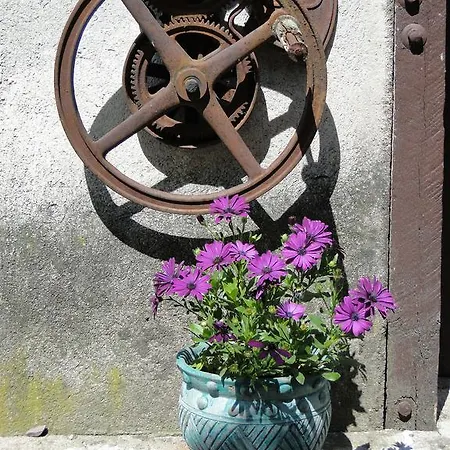 Romanowka Agroturismo