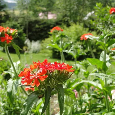 Alojamento de Turismo Rural Romanowka