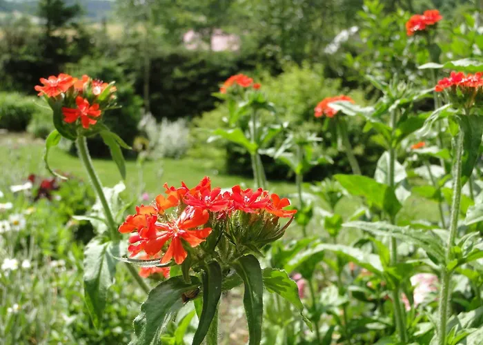 Alojamento de Turismo Rural Romanowka